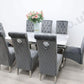 Venice Table & 8 Leon Chairs